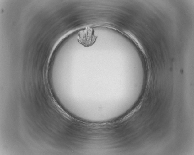 X0000085840924200704132059