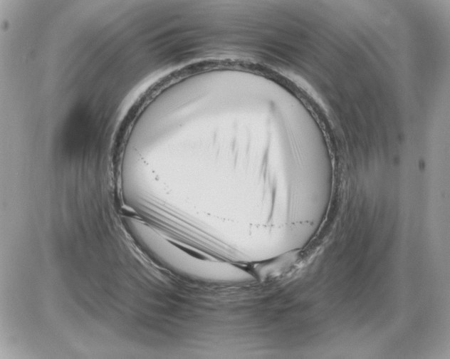 X0000085840927200704132059