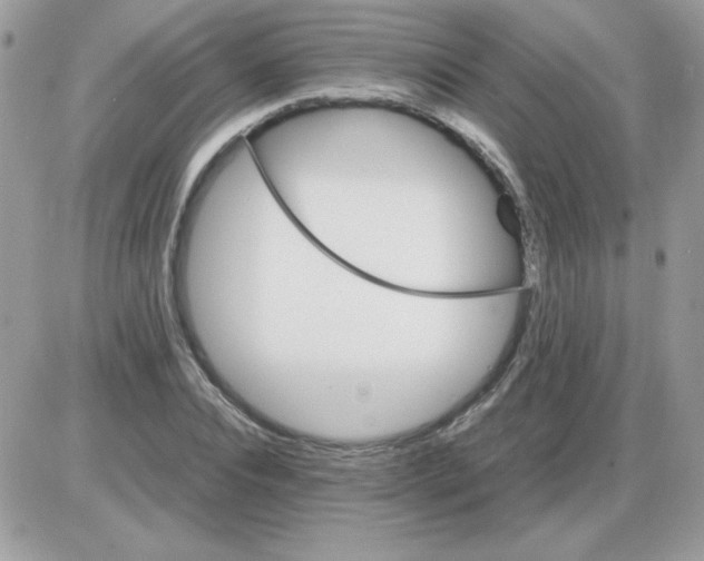 X0000085840928200704132059