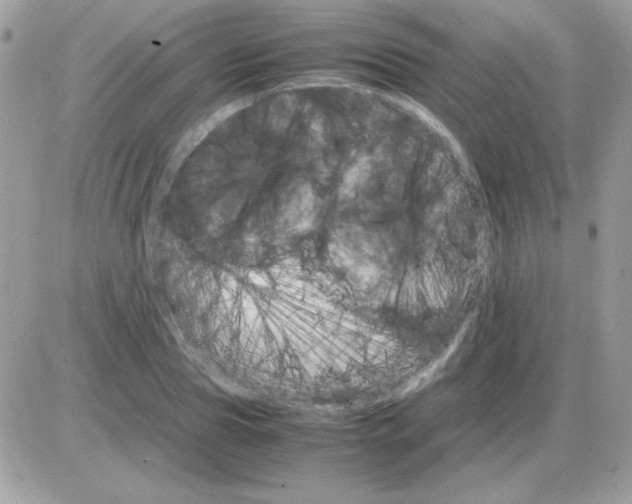 X0000085840929200704132059