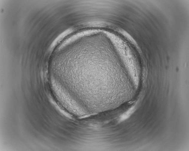 X0000085840930200704132059