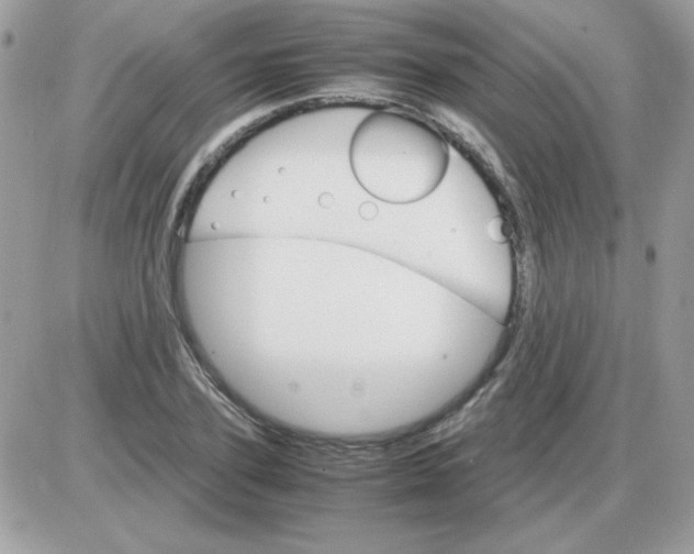 X0000085840931200704132059