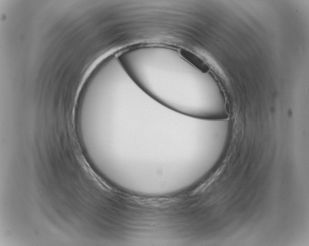 X0000085840932200704132059