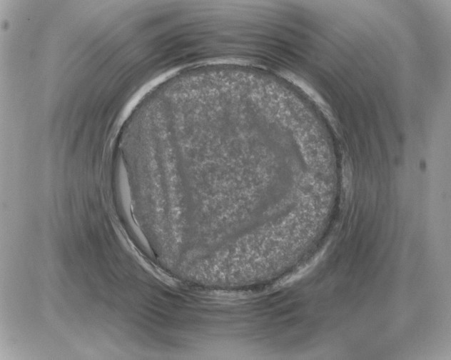 X0000085840933200704132059