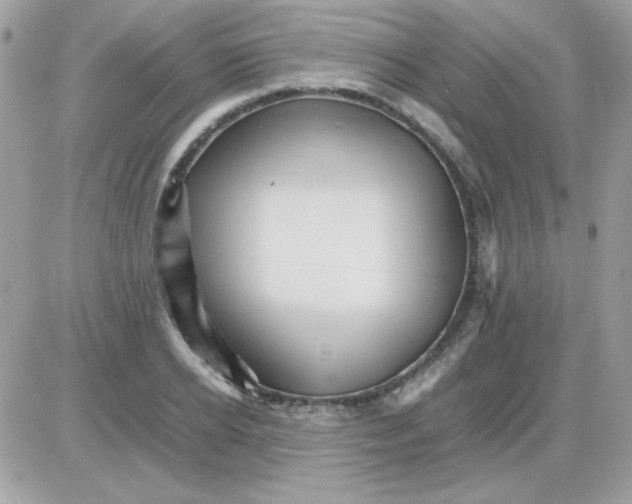 X0000085840934200704132059