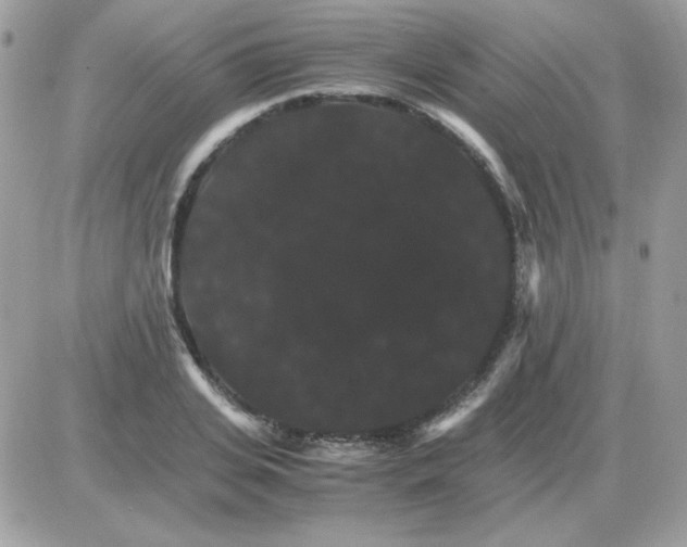 X0000085840935200704132059