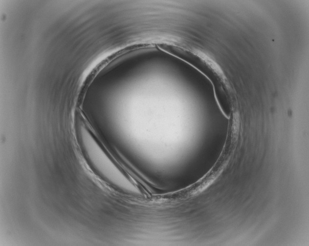 X0000085840936200704132059