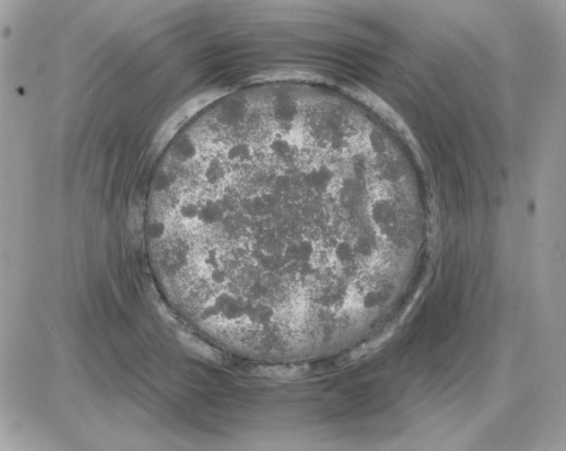 X0000085840937200704132059