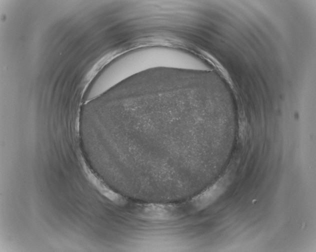 X0000085840938200704132059