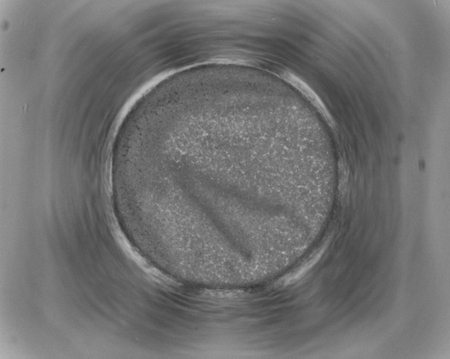 X0000085840939200704132059