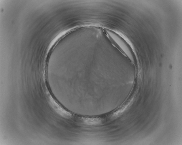 X0000085840941200704132059