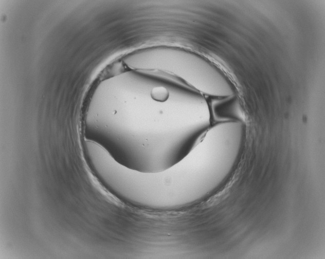 X0000085840942200704132100