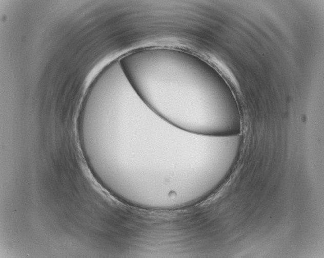 X0000085840944200704132100