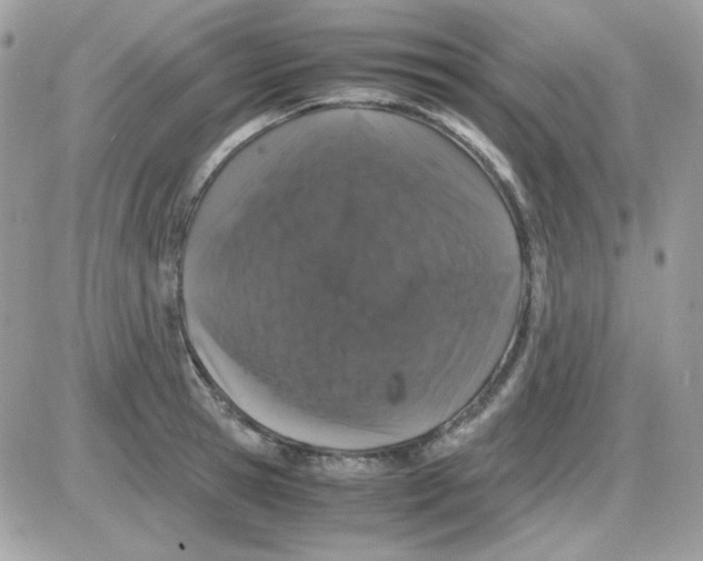 X0000085840945200704132100