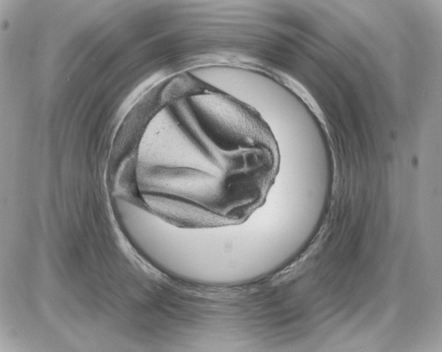 X0000085840946200704132100