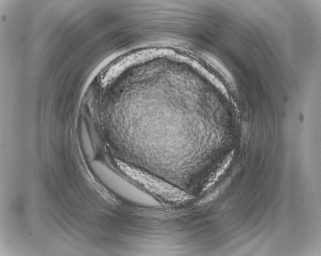 X0000085840948200704132100