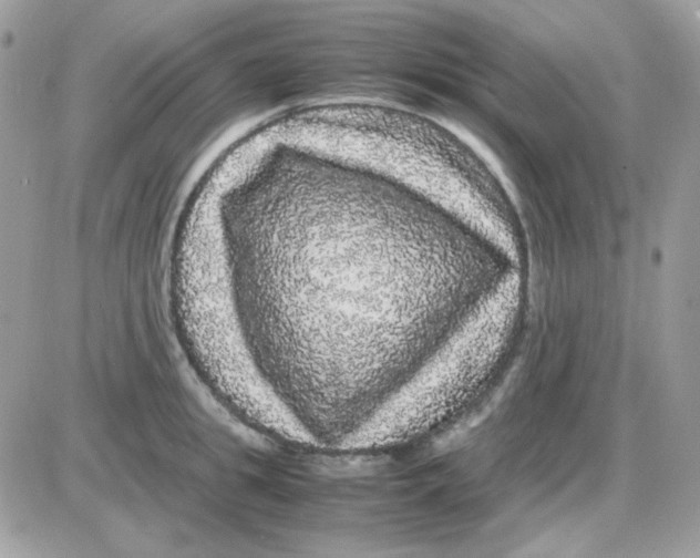 X0000085840949200704132100