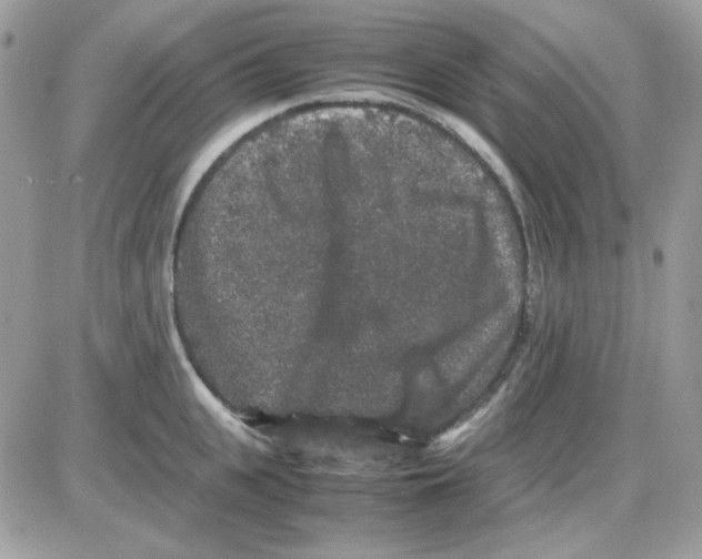 X0000085840951200704132100