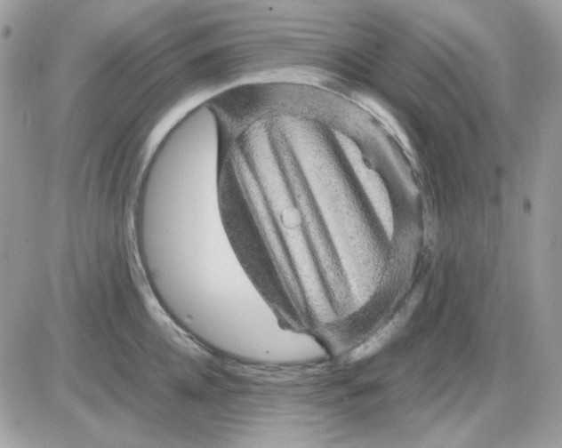 X0000085840952200704132100