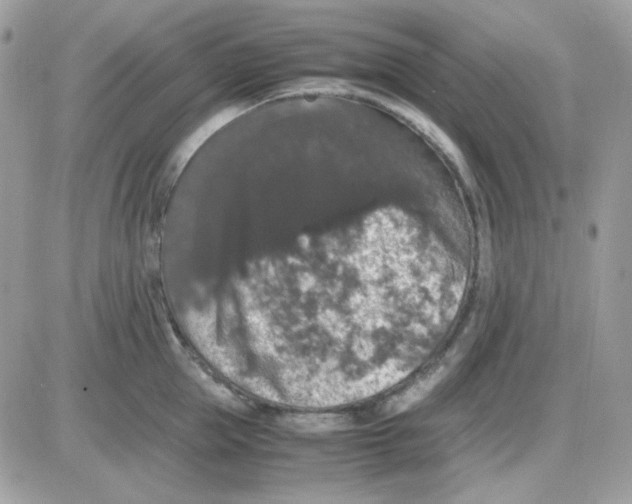 X0000085840953200704132100