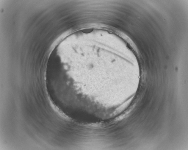 X0000085840954200704132100