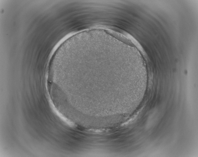 X0000085840955200704132100