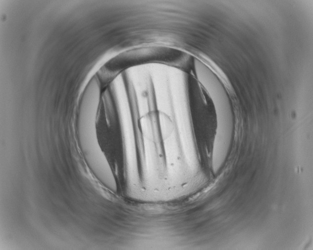 X0000085840956200704132100