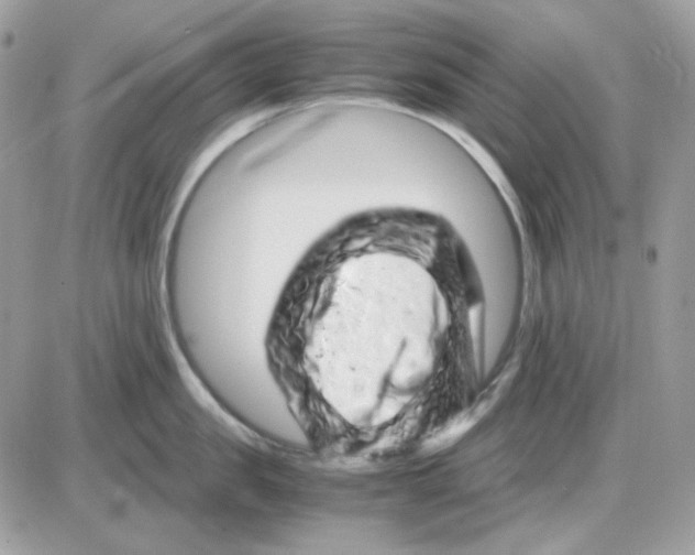 X0000085840957200704132100