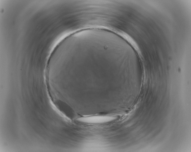 X0000085840958200704132100