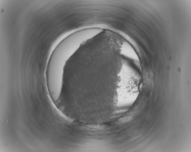 X0000085840959200704132100