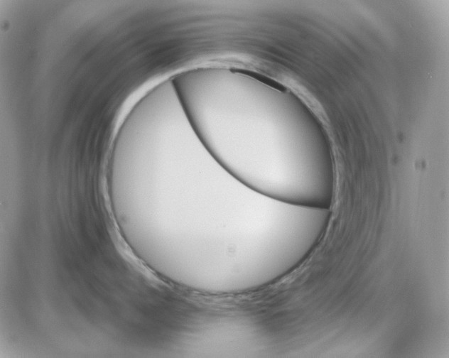 X0000085840960200704132100