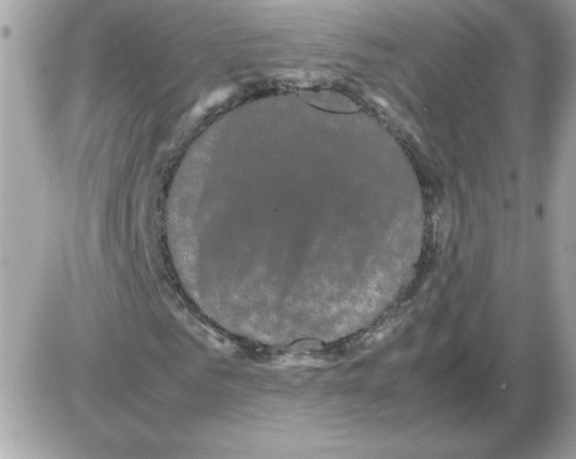 X0000085840961200704132059