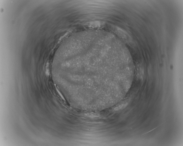 X0000085840962200704132059