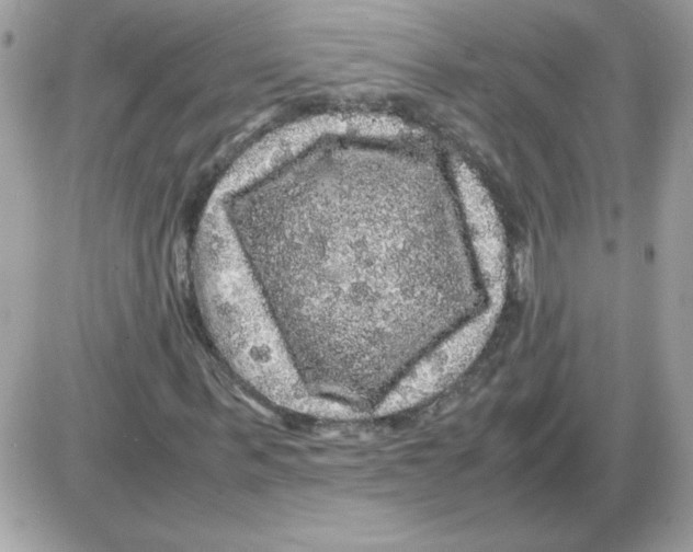 X0000085840963200704132059