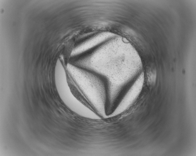 X0000085840964200704132059