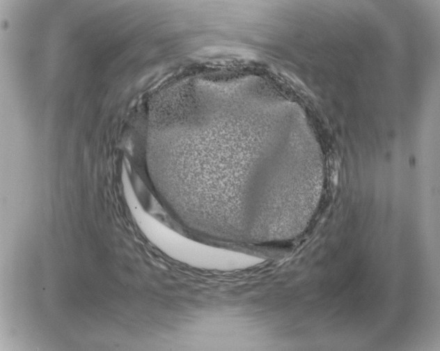 X0000085840965200704132059