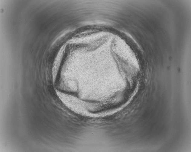 X0000085840967200704132059