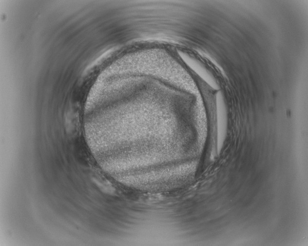 X0000085840968200704132059