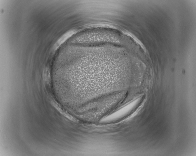 X0000085840969200704132059