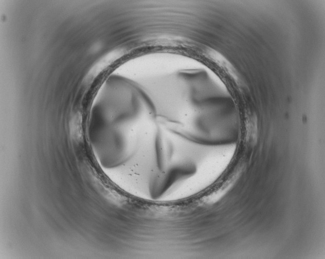 X0000085840970200704132059