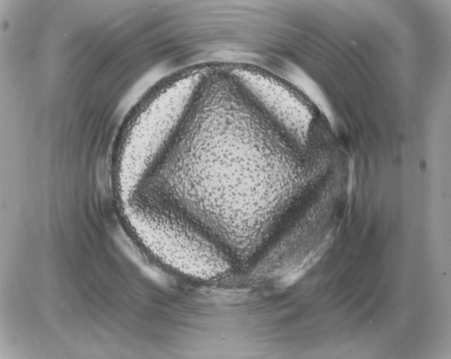 X0000085840972200704132059