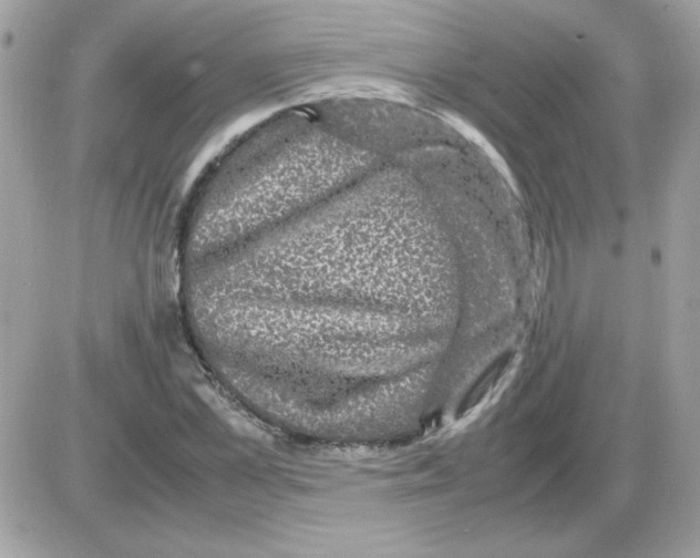 X0000085840973200704132059