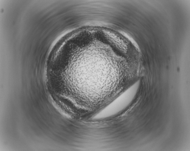 X0000085840976200704132059