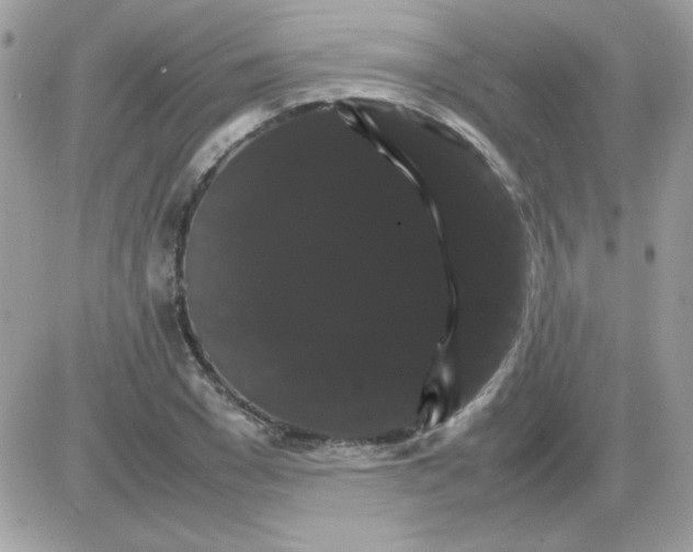 X0000085840977200704132059