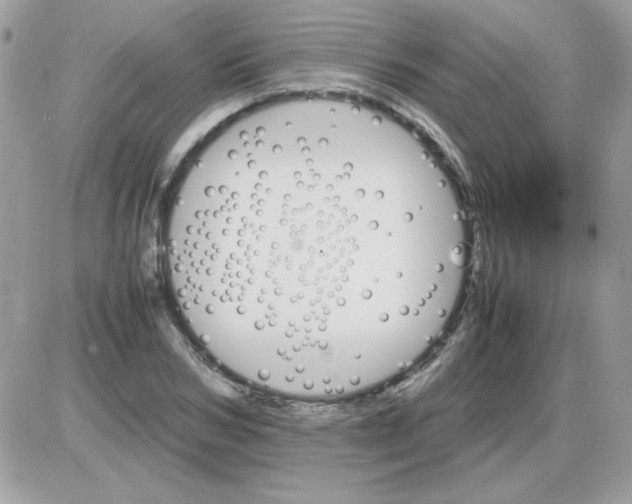 X0000085840978200704132059