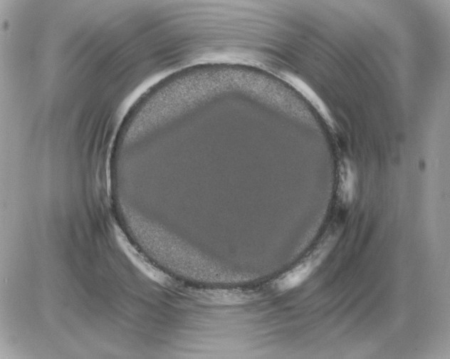 X0000085840980200704132059