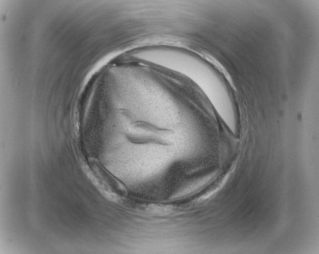 X0000085840981200704132059