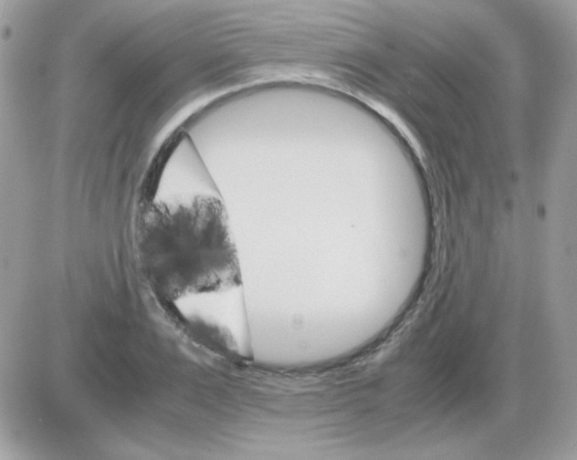 X0000085840983200704132059