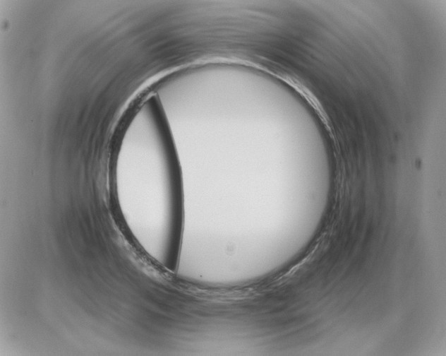 X0000085840984200704132059