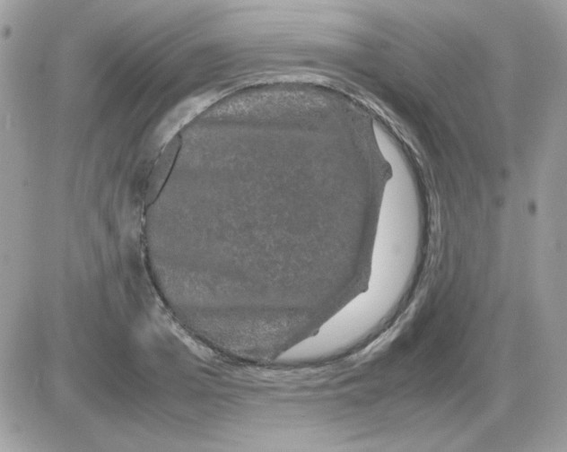 X0000085840985200704132059